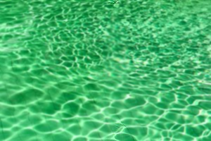 salt water pool looks green